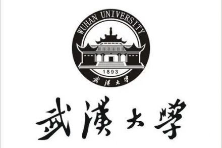 武汉大学 | 2020传媒类招生要求